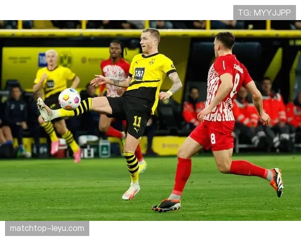 德甲新赛季阵容深度调整，多队补强提升争冠与欧战竞争力