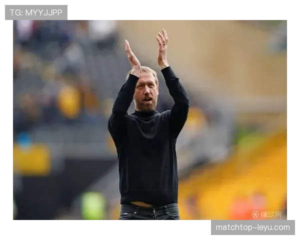 英超海鸥布莱顿近期表现稳健，竞争力持续提升